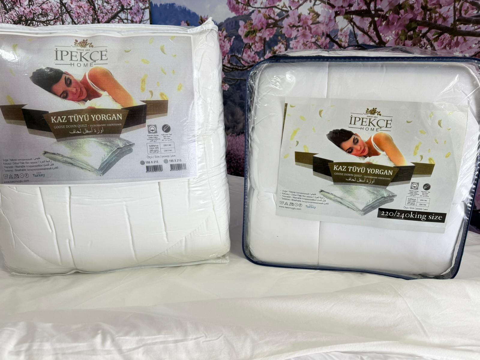 91714f75 684f 4777 b2b5 e095dc12502c